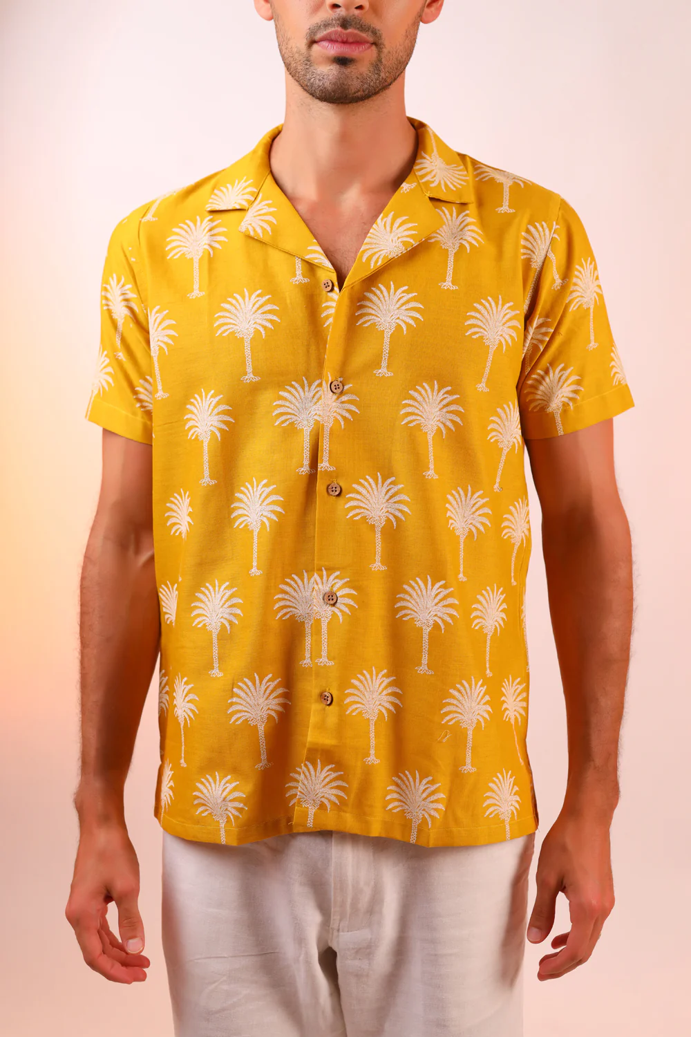 Palm Paradise - Image 3