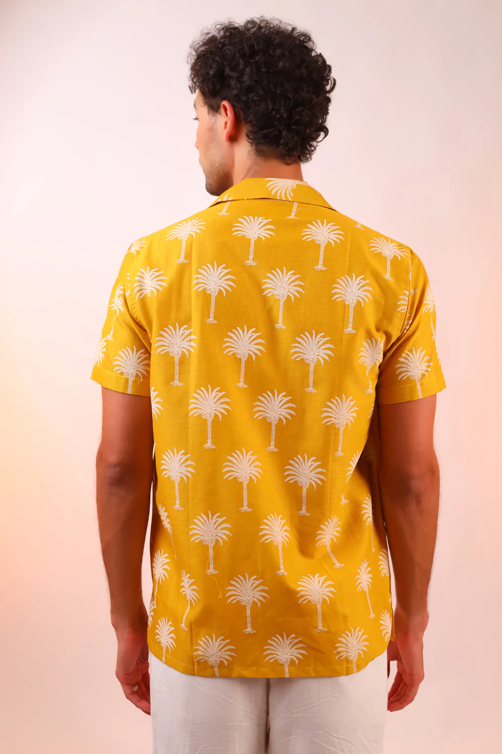 Palm Paradise - Image 4